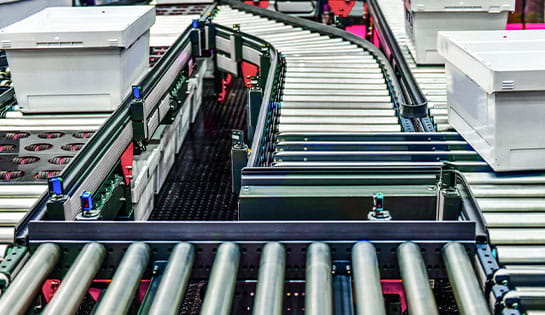 The various types of mini-load AS/RS include mini-load AS/RS crane, mini-load AS/RS shuttle, carousel-based AS/RS, and vertical lift module (VLM).