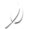 Leaf icon representing the eco-performance level of Raymond swing reach fork turret trucks